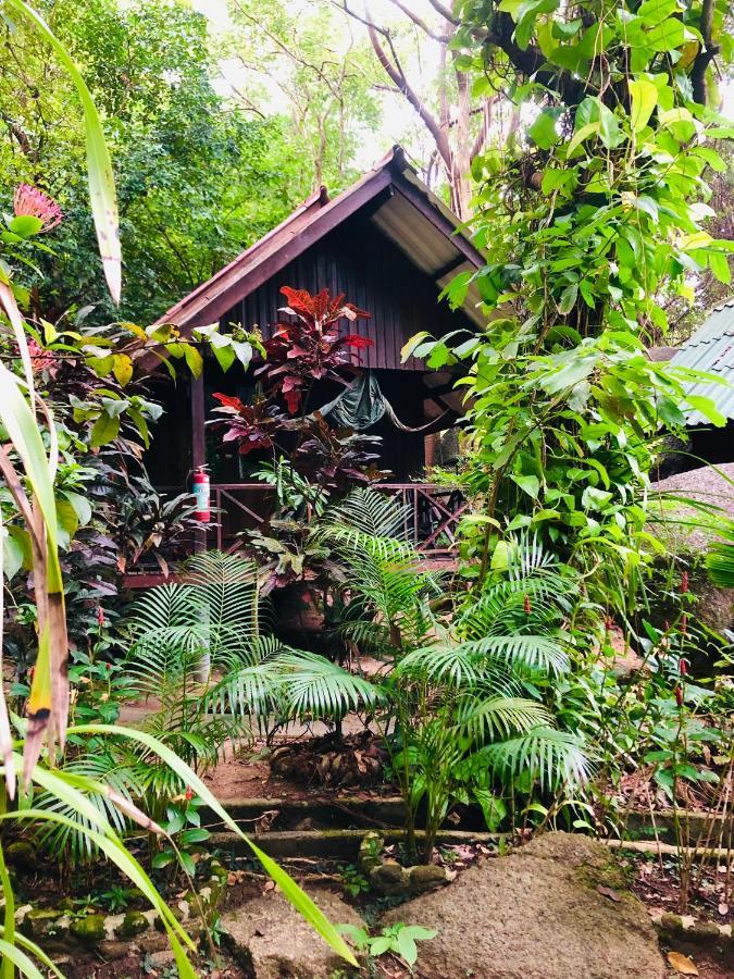 Hotel Bambu Huts Baan Tai Exterior foto